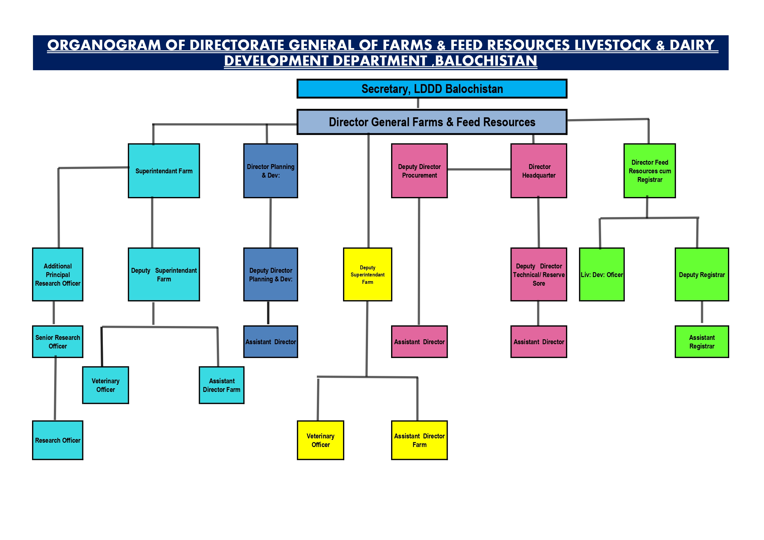 coloured Final all three Directorate Organogram _page-0002.jpg